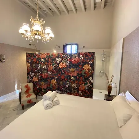 Bed and breakfast Casa Palacio ánima Jerez de la Frontera