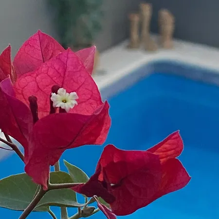 Casa Palacio ánima Bed and breakfast Jerez de la Frontera