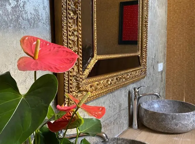 Casa Palacio ánima Bed and breakfast