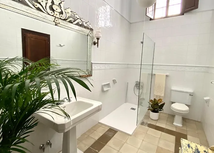 Bed and breakfast Casa Palacio ánima 4*