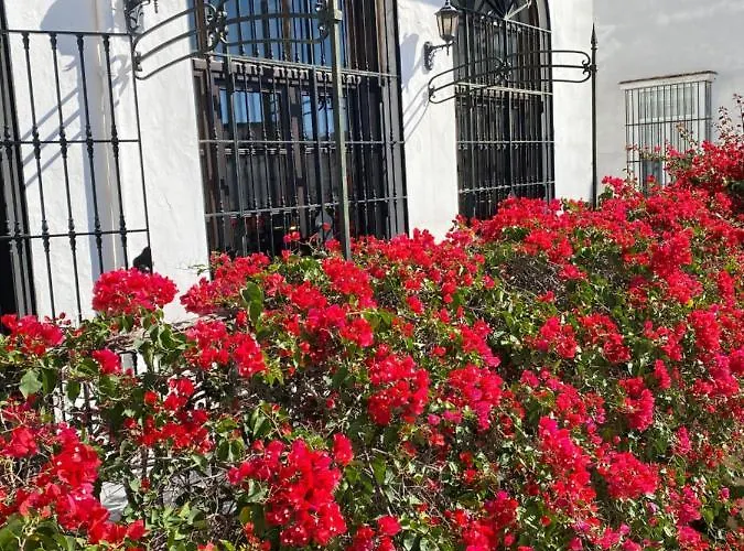 Bed and breakfast Casa Palacio ánima 4*